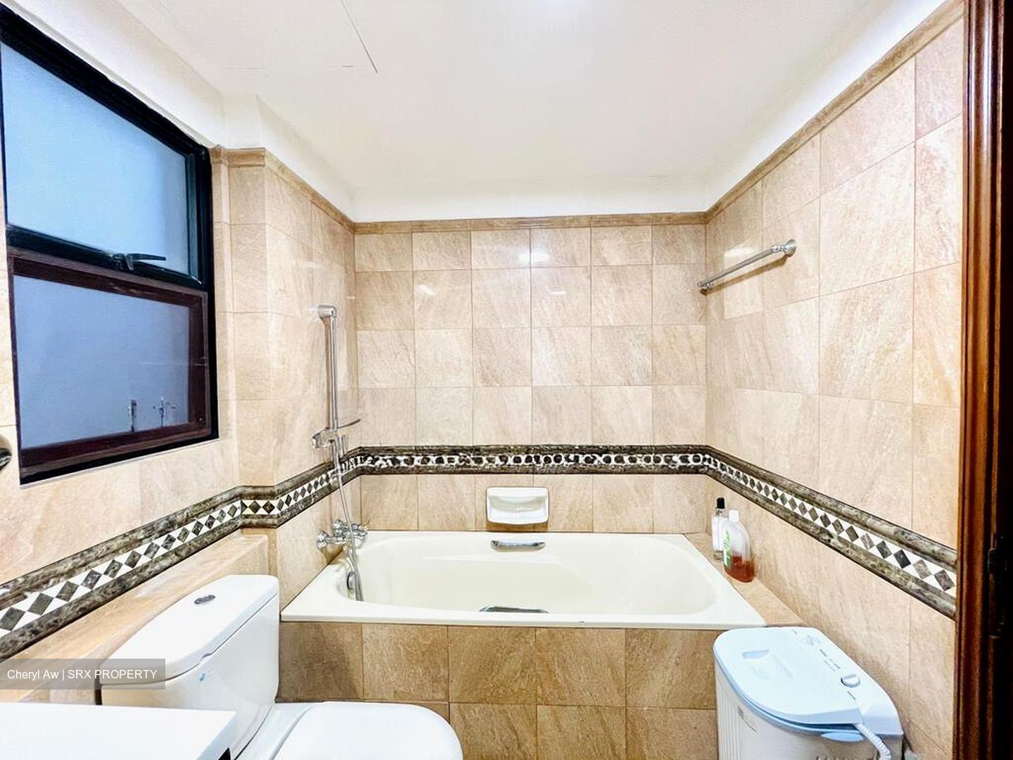 Dover Parkview (D5), Condominium #524216771